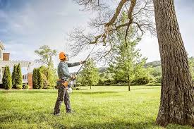 Best Tree Disease Treatment  in Louisville, MS